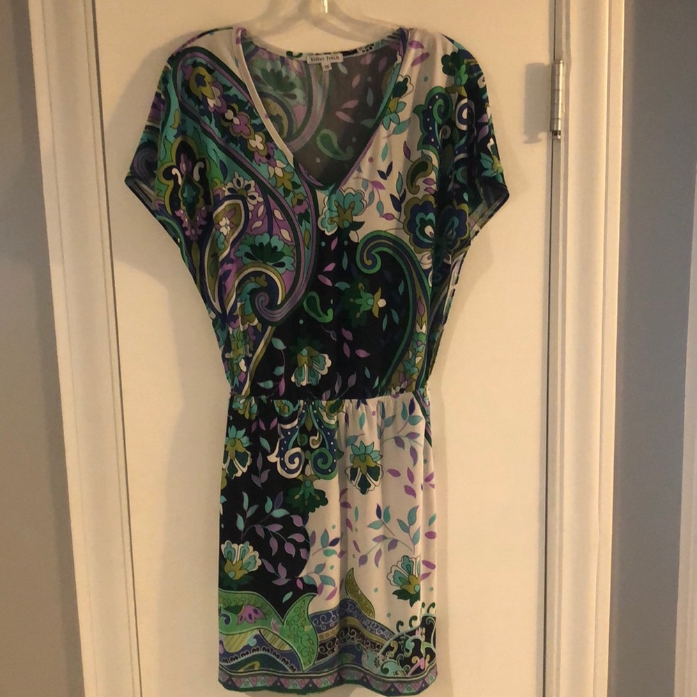 Velvet Torch paisley dress